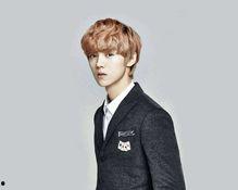 鹿晗反面爆料视频合集在线观看,反面爆料视频合集深度解析